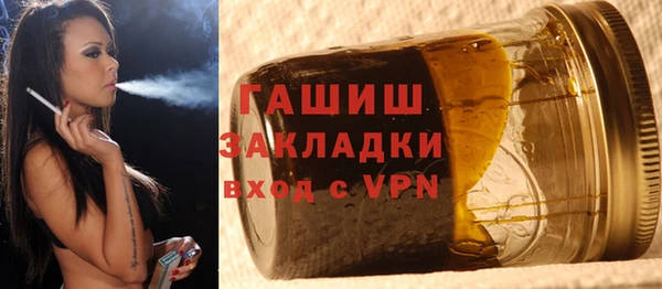 прущие грибы Коряжма