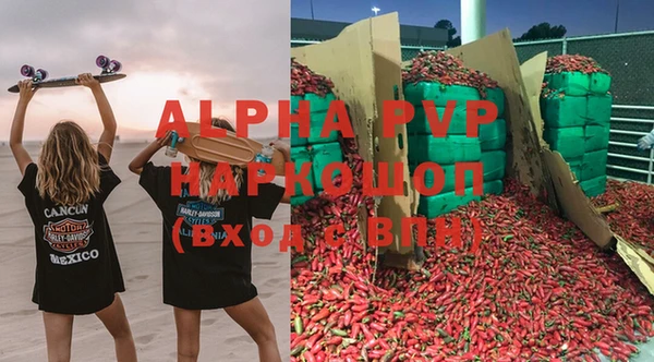 прущие грибы Коряжма