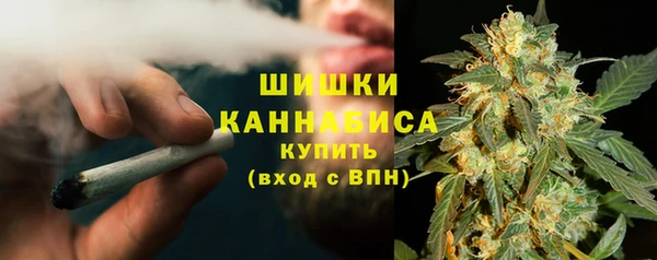 прущие грибы Коряжма