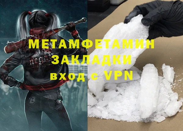 прущие грибы Коряжма