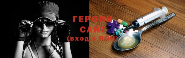 прущие грибы Коряжма