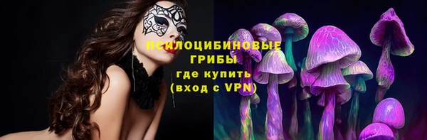 прущий лед Костерёво