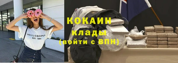прущие грибы Коряжма