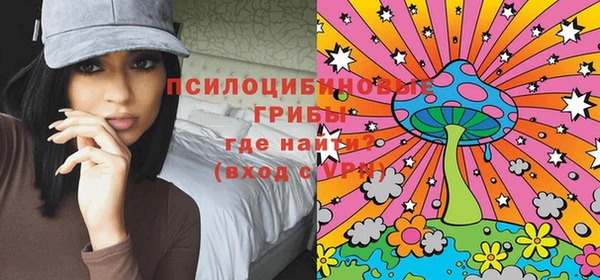 прущие грибы Коряжма