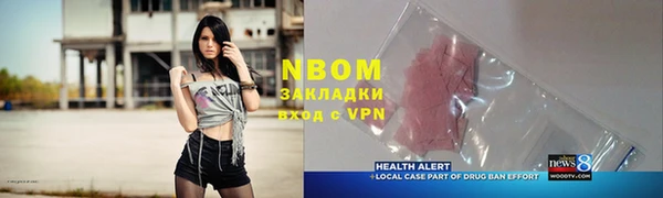 прущие грибы Коряжма