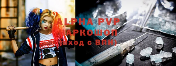 хмурый Корсаков
