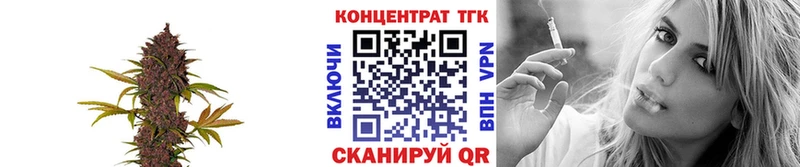 наркотики  Хвалынск  ТГК Wax 