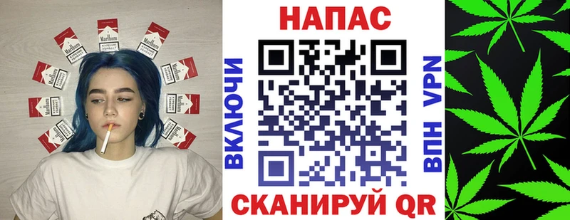 Бошки Шишки конопля  Хвалынск 